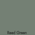 Reed Green